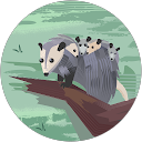 Sophie Duffes profile picture